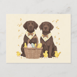 Cartes Pour Fêtes Annuelles Chiens de récupération du labrador de pâques