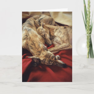 Cartes Pour Fêtes Annuelles Chiens de sommeil