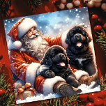 Cartes Pour Fêtes Annuelles Chiens de Terre-Neuve avec Festive du Père Noël<br><div class="desc">Style vintage Noël Père Noël avec deux beaux chiens de chiot de Terre-Neuve Imaginaire carte de vacances art. Personnalisez ceci avec votre propre message et nom de famille à envoyer à vos amis et famille pour les vacances.</div>