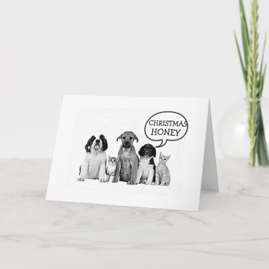 CARTES POUR FÊTES ANNUELLES CHIENS "JETEZ NOËL HONEY" MISTLETOE PLUS TARD ! (Devant)