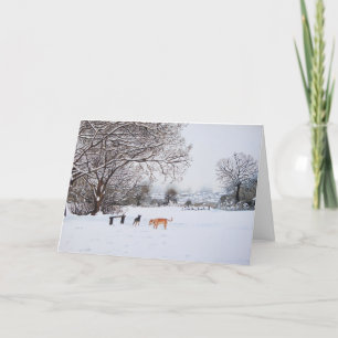 Cartes Pour Fêtes Annuelles chiens neige arbres hiver paysage pittoresque