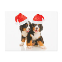 Chiens Souhaitent Un Joyeux Noël