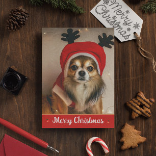 Cartes Pour Fêtes Annuelles Chihuahua à poils longs animal de compagnie drôle