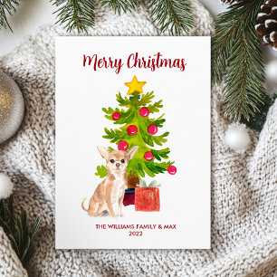 Cartes Pour Fêtes Annuelles Chihuahua de Noël personnalisé
