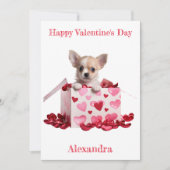 Cartes Pour Fêtes Annuelles Chihuahua Pup Personnalisé Coeurs roses sur Box Va (Devant)