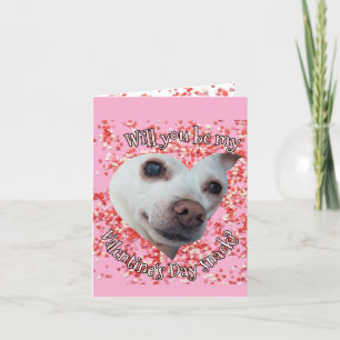 Cartes Pour Fêtes Annuelles Chihuahua Valentine's Day Folded Holiday Card