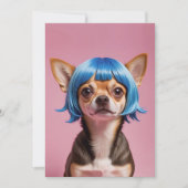 Cartes Pour Fêtes Annuelles Chihuahua wig (Devant)