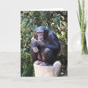 Cartes Pour Fêtes Annuelles Chimpanzé