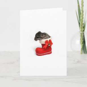 Cartes Pour Fêtes Annuelles Chinchilla mignon dans le bas de Noël