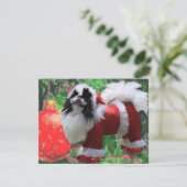 Cartes Pour Fêtes Annuelles Chinxmas (Debout devant)