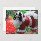 Cartes Pour Fêtes Annuelles Chinxmas (Devant / Derrière)