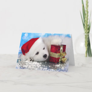 Cartes Pour Fêtes Annuelles Chiot Blanc Avec Un Cadeau En Paws