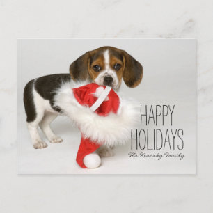 Cartes Pour Fêtes Annuelles Chiot de beagle