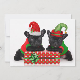 Cartes Pour Fêtes Annuelles chiot de bouledogue avec le cadeau de Noël
