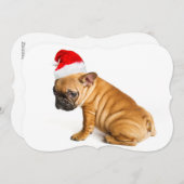 Cartes Pour Fêtes Annuelles Chiot de bouledogue français utilisant un (Devant / Derrière)