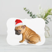 Cartes Pour Fêtes Annuelles Chiot de bouledogue français utilisant un (Debout devant)