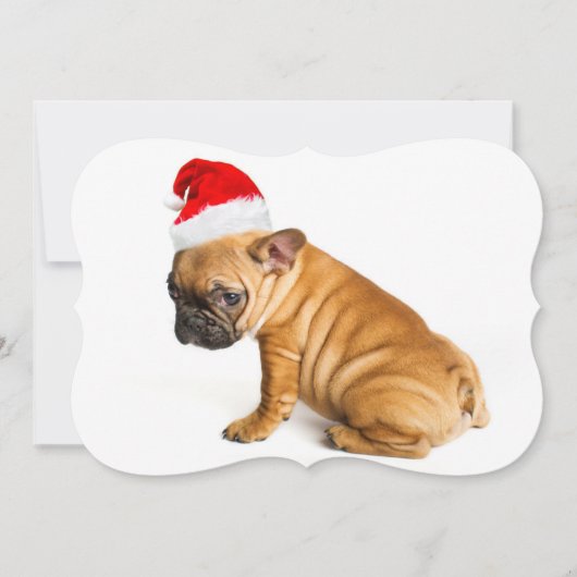 Cartes Pour Fêtes Annuelles Chiot de bouledogue français utilisant un (Devant)