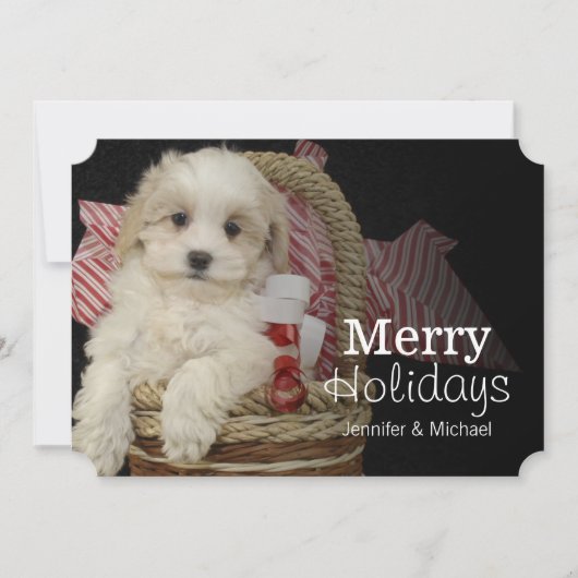 Cartes Pour Fêtes Annuelles Chiot de Cristmas Malti-poo se reposant dans le (Devant)