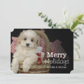 Cartes Pour Fêtes Annuelles Chiot de Cristmas Malti-poo se reposant dans le (Debout devant)