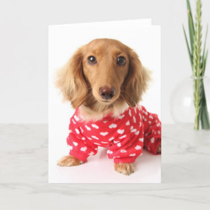 Cartes Pour Fêtes Annuelles Chiot de Dachshund portant l'tenue de Saint Valent