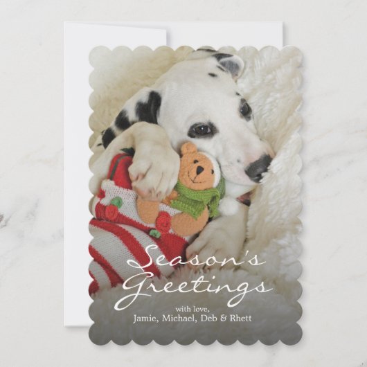 Cartes Pour Fêtes Annuelles Chiot de Dalmation avec le bas de Noël (Devant)