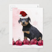 Cartes Pour Fêtes Annuelles Chiot de dobermann de Noël (Devant / Derrière)