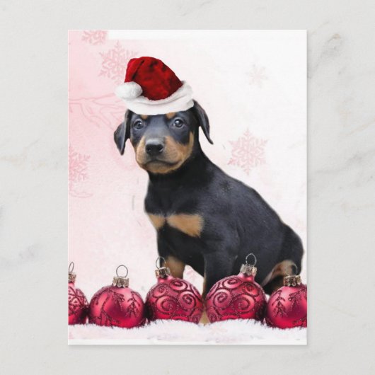 Cartes Pour Fêtes Annuelles Chiot de dobermann de Noël (Devant)