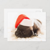 Cartes Pour Fêtes Annuelles Chiot de Noël (Devant / Derrière)