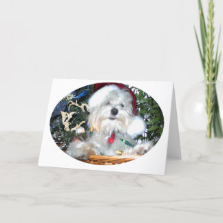 Cartes Pour Fêtes Annuelles chiot de noël
