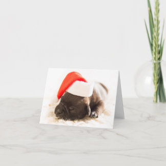 Cartes Pour Fêtes Annuelles Chiot de Noël
