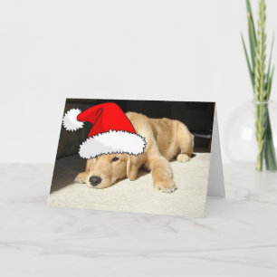 Cartes Pour Fêtes Annuelles Chiot de Noël de l'équipe d'or
