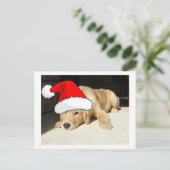 Cartes Pour Fêtes Annuelles Chiot de Noël Golden Retriever (Debout devant)