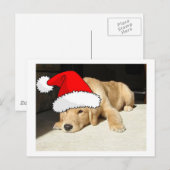 Cartes Pour Fêtes Annuelles Chiot de Noël Golden Retriever (Devant / Derrière)