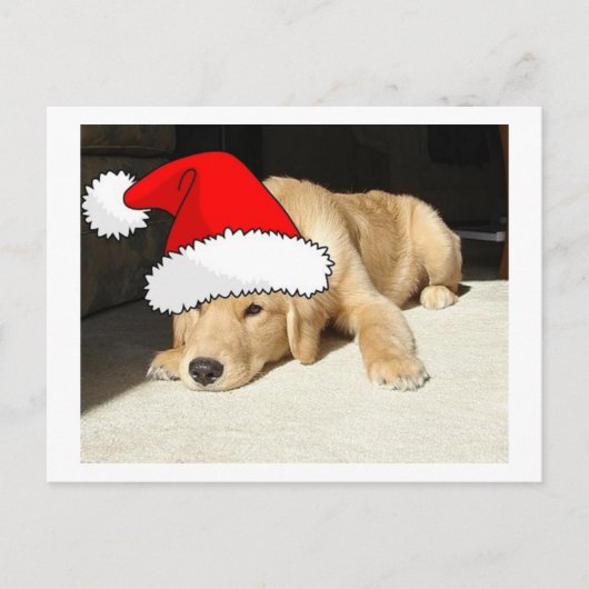 Cartes Pour Fêtes Annuelles Chiot de Noël Golden Retriever (Devant)