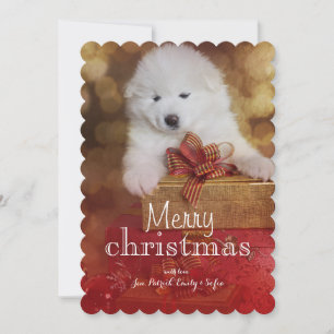 Cartes Pour Fêtes Annuelles Chiot de Samoyed avec des cadeaux de Noël