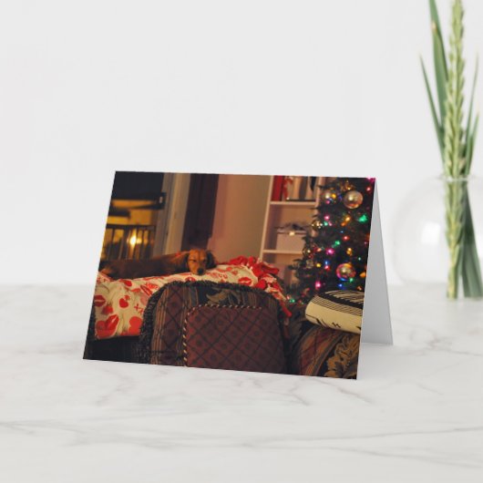 Cartes Pour Fêtes Annuelles Chiot de vacances de sommeil (Devant)