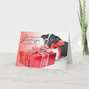 Cartes Pour Fêtes Annuelles Chiot doux de Boston Terrier