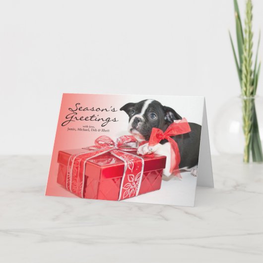 Cartes Pour Fêtes Annuelles Chiot doux de Boston Terrier (Devant)