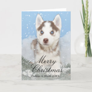 Cartes Pour Fêtes Annuelles Chiot enroué observé par bleu se reposant dans la
