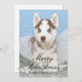 Cartes Pour Fêtes Annuelles Chiot enroué observé par bleu se reposant dans la (Devant / Derrière)