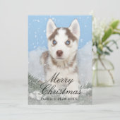 Cartes Pour Fêtes Annuelles Chiot enroué observé par bleu se reposant dans la (Debout devant)