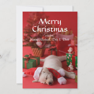 Cartes Pour Fêtes Annuelles Chiot et Noël 2 de golden retriever