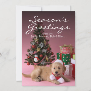 Cartes Pour Fêtes Annuelles Chiot et Noël 3 de golden retriever