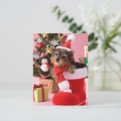 Cartes Pour Fêtes Annuelles Chiot et Noël de Yorkshire Terrier (Debout devant)