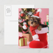Cartes Pour Fêtes Annuelles Chiot et Noël de Yorkshire Terrier (Devant / Derrière)
