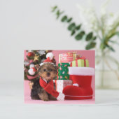 Cartes Pour Fêtes Annuelles Chiot et Noël de Yorkshire Terrier (Debout devant)