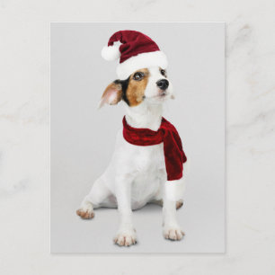 Cartes Pour Fêtes Annuelles Chiot Jack Russell portant un chapeau de Père Noël
