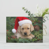 Cartes Pour Fêtes Annuelles Chiot Labrador Retriever Avec Chapeau De Père Noël (Debout devant)