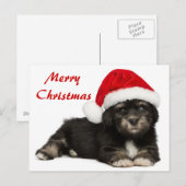 Cartes Pour Fêtes Annuelles Chiot mignon de Havanese de Noël (Devant / Derrière)