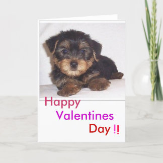 Cartes Pour Fêtes Annuelles chiot mignon de lil, Valentines, jour, heureux ! 